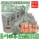 静岡 川根 久野脇産 1番茶葉 100％ 「川根茶 お徳用ティーバッグ 5gx20包入り」 2個セット 合計40包 緑茶 ティーパック 静岡茶 日本茶