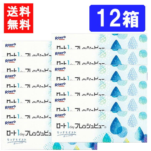 ロート ワンデーフレッシュビュー リッチモイスト（30枚入）×12箱 RHOTO 1DAY フレッシュビュー