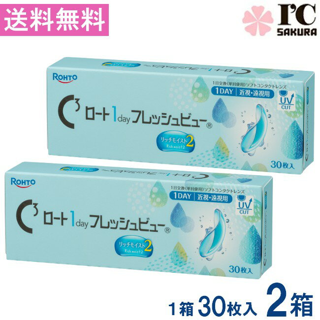 乐天商城 - ロート ワンデーフレッシュビュー リッチモイスト2【30枚入】×2箱 RHOTO 1DAY フレッシュビュー 送料無料