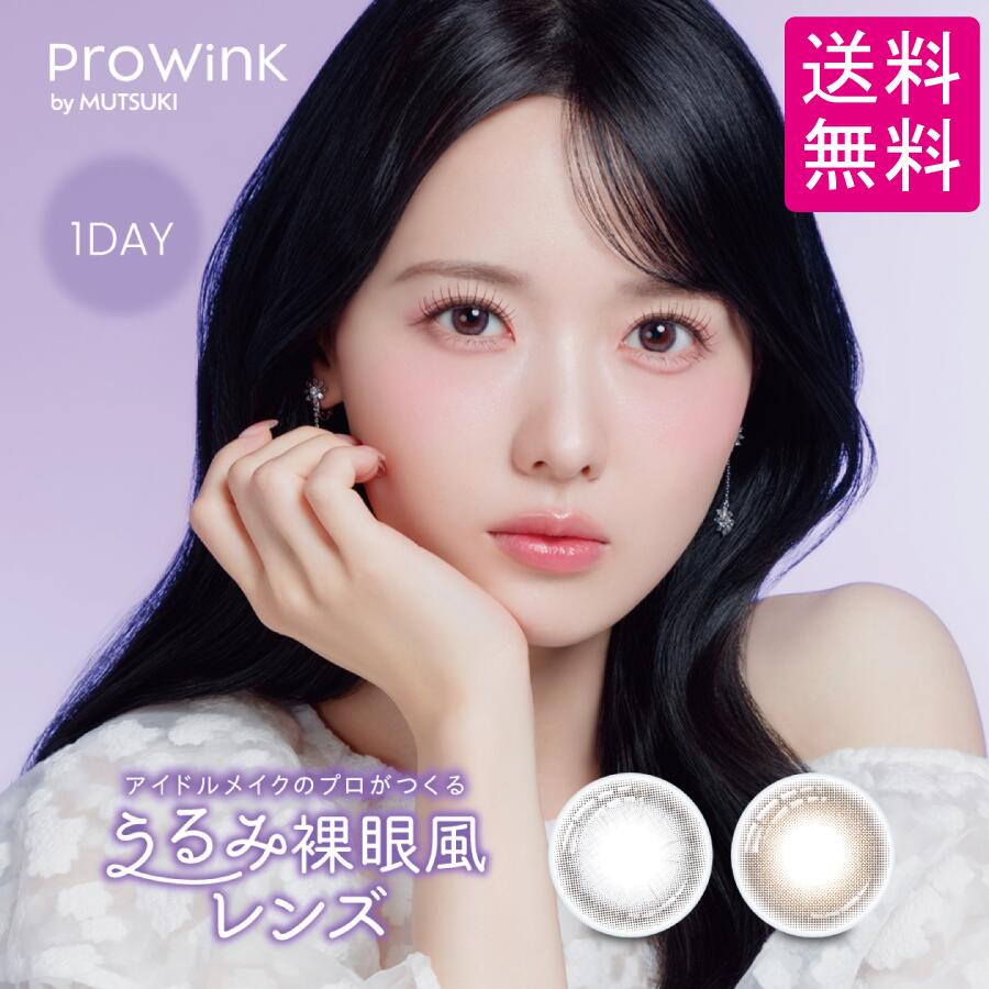 ProWink 1day 1箱【10枚入】 PIA株式会社 プロウィンク 1day 1日交換 ワンデー カラーコンタクトレンズ カラコン 送料無料(4)