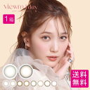 ビュームワンデー Viewm 1day (1箱10枚入り)×1箱