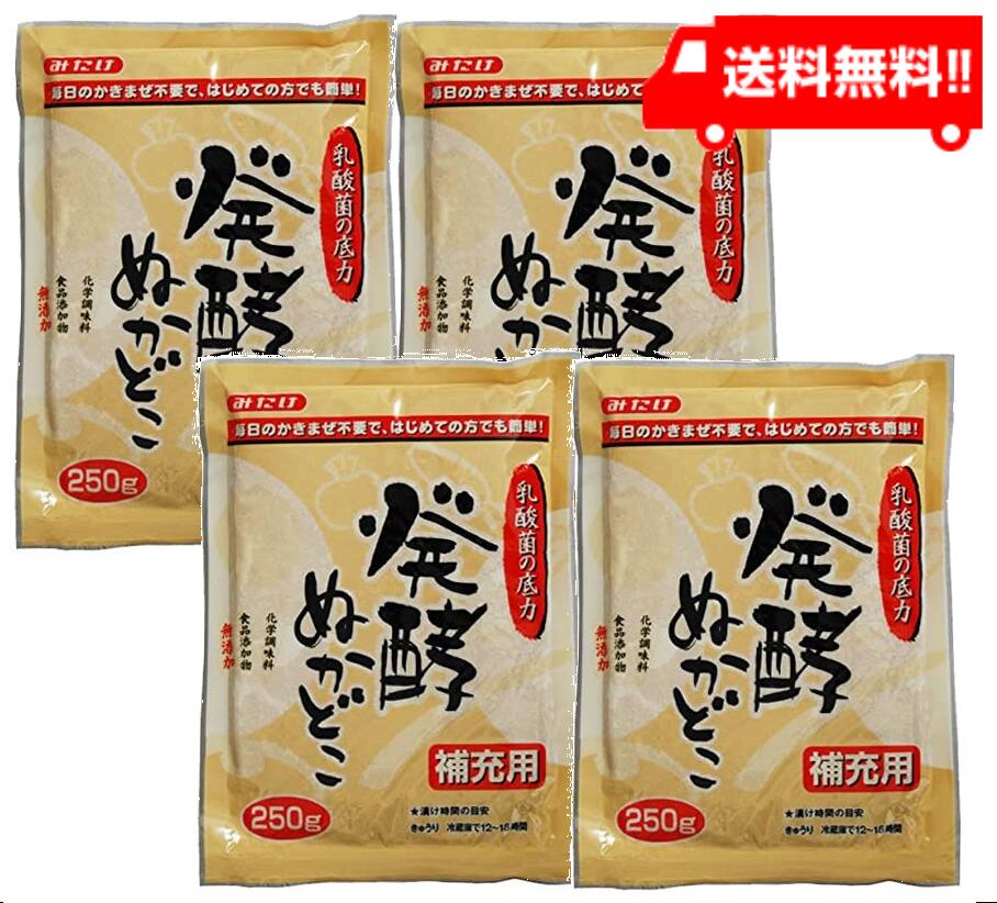 みたけ 発酵ぬかどこ補充用250g×4個