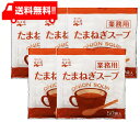 永谷園 業務用 たまねぎスープ 50P×5袋