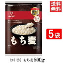 はくばく もち麦ごはん 800g 5袋 送料無料