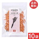 吉良食品 乾燥野菜 九州産 人参 40g×10袋 送料無料