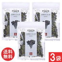 吉良食品 乾燥野菜 九州産 ほうれん草 40g×3袋 送料無料
