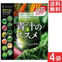 健翔 青汁のススメ 12種類の素材 20包入×4袋 国産 九州産 美味しい 美味 大麦若葉 ケール 明日葉 契約農家 栄養 無農薬 温暖 マイルド ビタミンE カルシウム 鉄分 栄養 バランス(4)