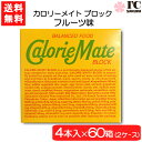 大塚製薬 カロリーメイト ブロック フルーツ 4本×60箱(2ケース) 栄養 空腹解消 手軽 フルーツ味