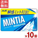 ミンティア ワイルド&クール 50粒 10個セット アサヒグループ食品