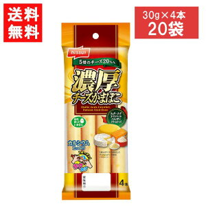 ニッスイ 濃厚チーズかまぼこ (30g×4本)×20袋 2022年9月リニューアル