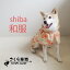 ̵Ƹʪ̲shiba 淿ʪפ򸫤