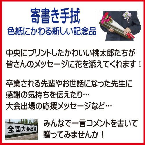 【 1枚からOK 】 野球 記念 色紙 ＜ 寄書き手ぬぐい 野球桃太郎 ＞ 名入れ 名前入り 卒業記念 卒団 転校 お見舞 かわいい 寄書き 記念品 晒生地 100cm フルカラープリント 日本製 プレゼント 贈り物 ギフト 先生 先輩 学生 応援 お祝い 転校 お見舞い メッセージ オーダー 2