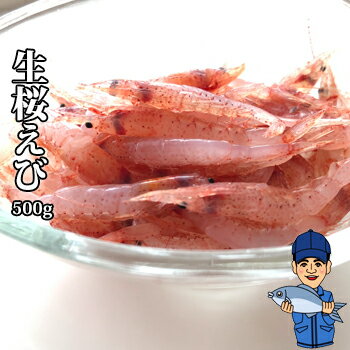生桜えび500g(2025年秋漁新物)|由比港水揚げ 駿河湾桜えび 静岡県産を安心して