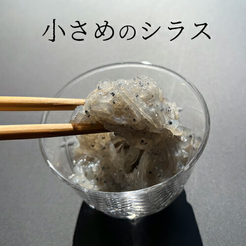 生しらす100g（小さめ）静岡県産