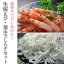 生桜えび100g×2 釜ゆでしらす100g×2セット 送料込 静岡県産 北海道沖縄配送料加算