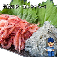 生桜えび、生しらすセット 2024年春漁新物 送料無料 市場直送ギフト 由比港水揚げ ...