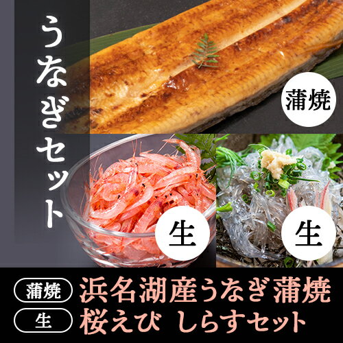乐天商城 - 浜名湖産うなぎ、生桜えび、生しらすセット 送料無料 静岡県産にこだわる 静岡自慢の逸品がずらり 北海道沖縄配送料加算