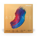 Ascente Violin Strings これまでのシンセティックコア弦は、スチールコア弦に比べ、リッチなトーンとサウンドはあるが、ピッチの安定性や弾力性に欠けるものもあり、一般的には価格も高く、耐久性などにも課題を抱えていました。Ascenteシリーズは、リッチなトーンレンジを持ち、適度な弾力性を確保しつつ、豊かなオーバートーンとレスポンスを誇ります。 これまで課題だったポイントをクリアし、ピッチの安定性に優れ、モネル合金を採用した高耐久性、高耐腐食性に優れた弦というコンセプトに基き開発され、年齢、演奏レベルを問わず、幅広いプレーヤーに対応するバイオリン弦に仕上がっています。更なるレベルにステップアップしたい初中級者から中上級者までもが満足できる幅広い層に向けた新たなシリーズのバイオリン弦です。