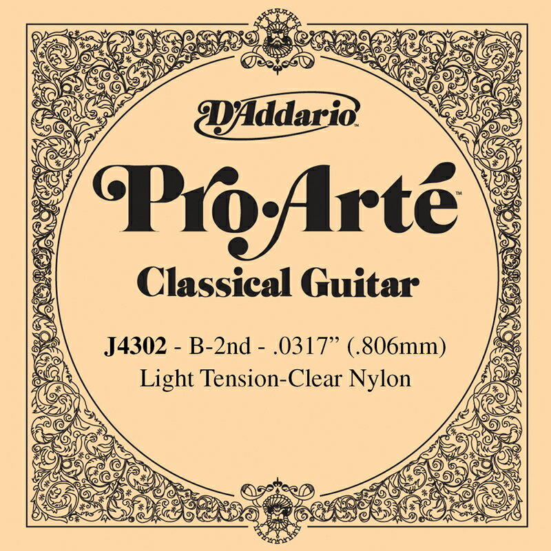 D'Addario 饷å Х鸹 5ܥå J4302 ProArte  daddario ꥪ 饷å j-4302 ۡ50ΤĤϥȥ꡼ǥݥ4ܡۡڤ椦ѥåбۡ