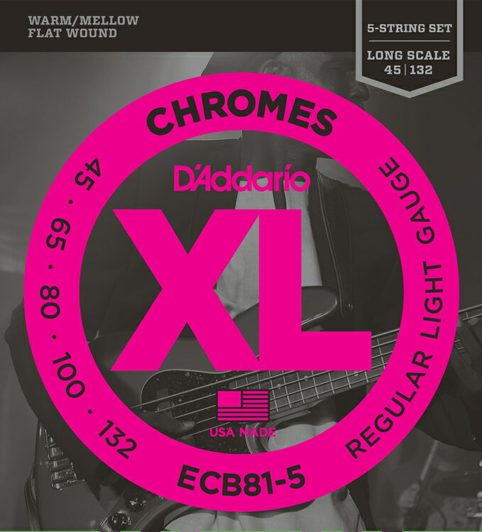 【5と0のつく日はエントリーでポイント4倍】D 039 Addario ダダリオ ベース弦 ECB81-5 (5弦用) XL Chromes Flat Wound daddario ecb-81-5 【ゆうパケット対応】＊