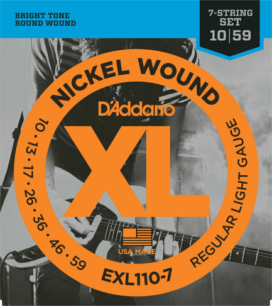 y50̂̓Gg[Ń|Cg4{zD'Addario __I GLM^[ EXL110-7 (7p) 