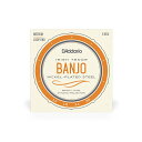 D'Addario テナーバンジョー弦 ニッケル Medium 4弦 EJ63i Set Tenor Banjo Irish Nickel 9-30ゲージ: Plain Steel .012, .016, Nickel Wound .024, .036