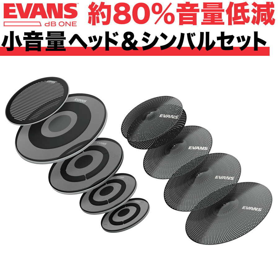 EVANS 㸺Хإåɥå dB One / ECPPB-DB1-Rڥ Х ɥ Х Ų  ץ饯ƥ ȥ졼˥󥰡ۡ41ϥȥ꡼ǥݥ5ܡۡ