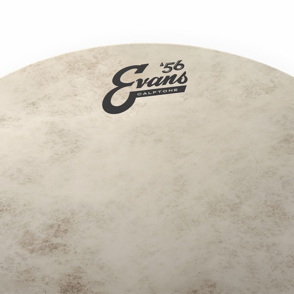 EVANS エヴァンス ドラムヘッド `56 Calftone Tom TT15C7 15インチ 【5と0のつく日はエントリー等でポイント4倍】＊