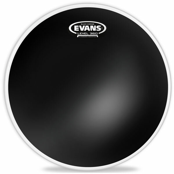 EVANS ɥإå TT12CHR/12