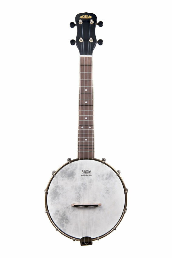 50ΤĤP5 + ȥ꡼ǤP4ܡKALA ()  CONCERT BANJO UKULELE 󥵡...