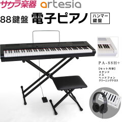 https://thumbnail.image.rakuten.co.jp/@0_mall/sakuragk/cabinet/main/pa88hsih19b.jpg