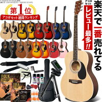 アコースティックギター HONEY BEE W-15/F-15 16点 初心者セット【アコギ 入門セット W15 F15 初心者】【大型】