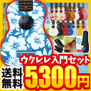 【今だけ特典付き!】ウクレレ 入門セット AlaMoana ソプラノウクレレ 初心者セット UK-100G【今だけ教則DVD付き!】【アラモアナ UK100 U...