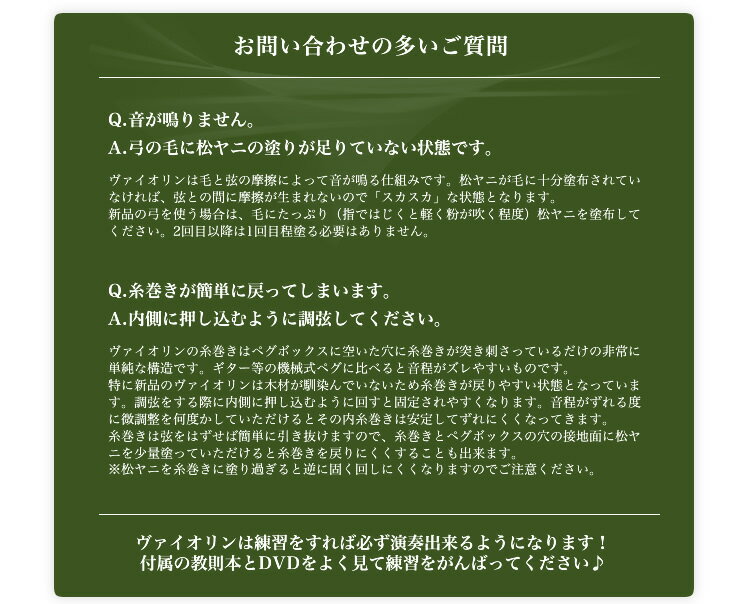 バイオリン Hallstatt V-12 初心者入門セット 10点