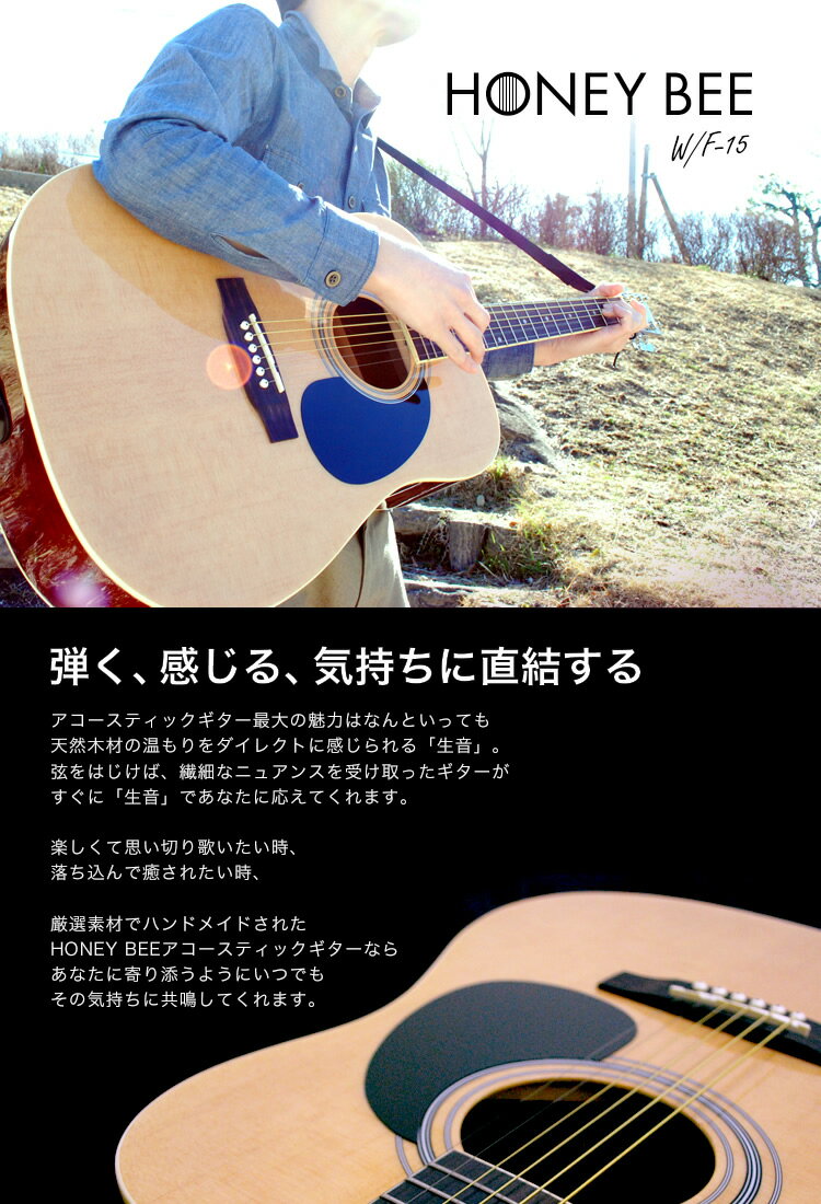 アコースティックギター HONEY BEE W-15/F-15 16点 初心者セット