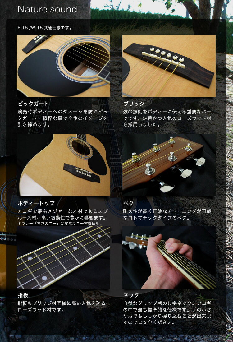 アコースティックギター HONEY BEE W-15/F-15 16点 初心者セット