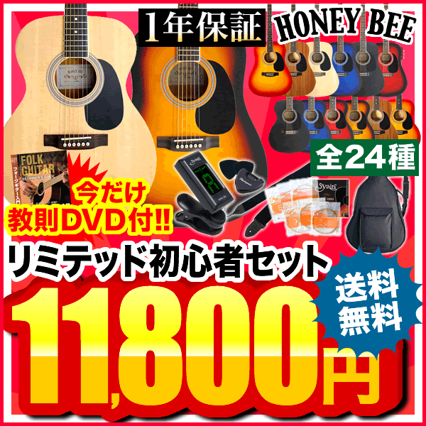 アコースティックギター HONEY BEE W-15/F-15 アコギ リミテッドセット【アコースティックギター ハニービー アコギ 初心者 入門セット W15...