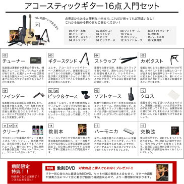 アコースティックギター HONEY BEE W-15/F-15 16点 初心者セット【今だけ教則DVD付き!】【ハニービー アコギ 入門セット W15 F15】【大型】