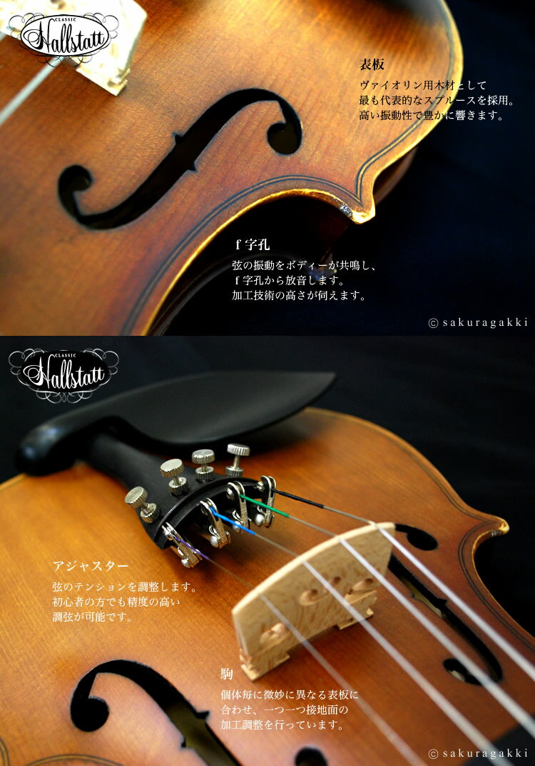 バイオリン Hallstatt V-12 初心者入門セット 10点