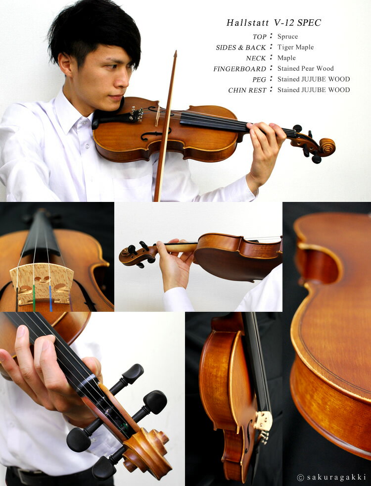 バイオリン Hallstatt V-12 初心者入門セット 10点