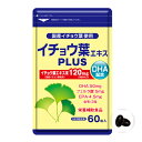 イチョウ葉エキス(DHA配合)PLUS 60粒 ( 30日分 ) 【 タケイ 】【 ネコポス便対応 】