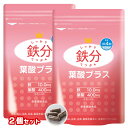 ★25日P5倍!お買い物マラソン★しっかり鉄分葉酸プラス 120粒×2個セット ( 30日分×2個 ) 【 タケイ 】 【ネコポス便送料無料】