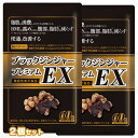 【25日限定クーポン配布＆P3倍★お買い物マラソン】ブラックジンジャープレミアムEX〔機能性表示食品〕 60粒×2個セット【株式会社タケイ】【ネコポス便送料無料】