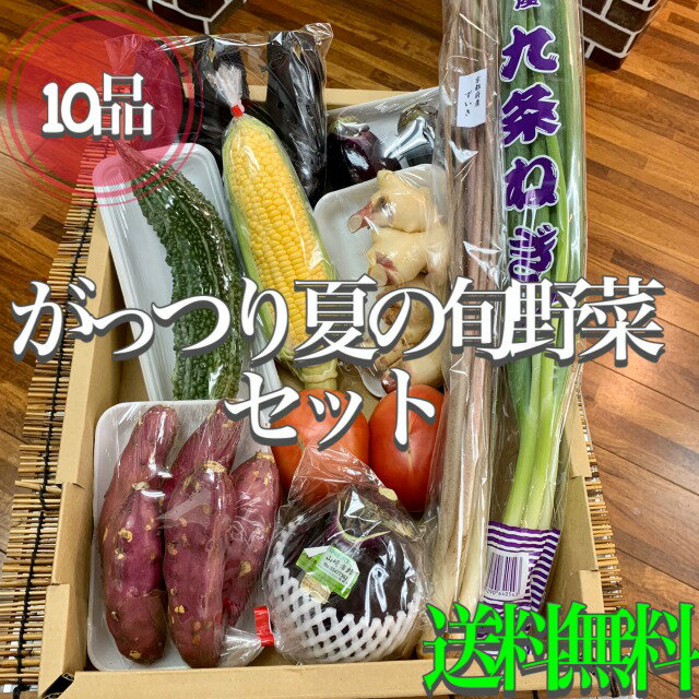 一押し！旬のおすすめ*【夏季限定】がっつり夏のおまかせ旬野菜セット*京野菜5品含む全10品*目利きプロの厳選品*送料無料(一部地域除く)*誕生日・お中元・ギフト*贈答品*京野菜セット*夏野菜セット*詰合せ*京都府産地物*新鮮*旬の食材*お取り寄せ*御中元*プレゼントのサムネイル
