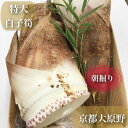 白子 終盤へ突入**日本一！*旬の特上品*【朝堀り京たけのこ】特大！白子筍3L～4Lサイズ約2kg（1～2本)京都大原野,塚原,長岡京,物集女産より厳選*木の芽,米ぬか,鷹の爪,ゆがき方とお料理レシピ付新鮮*生タケノコ*竹の子*贈答*お祝い*御祝*京野菜*進物*旬食材*たけのこ