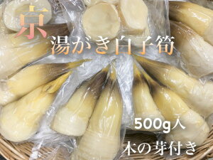 春*新物【京・旬の味わいをお手軽に！こだわりの無添加・湯がき京筍500g】さくらいや製真空パック　1パックあたり約500g（3〜6本）塚原産・大原野産より厳選※春の香り*木の芽付き※*無添加水煮・ゆがきたけのこ*京都お取り寄せ*ギフト*お祝い*御祝*進物*母の日*旬食材*