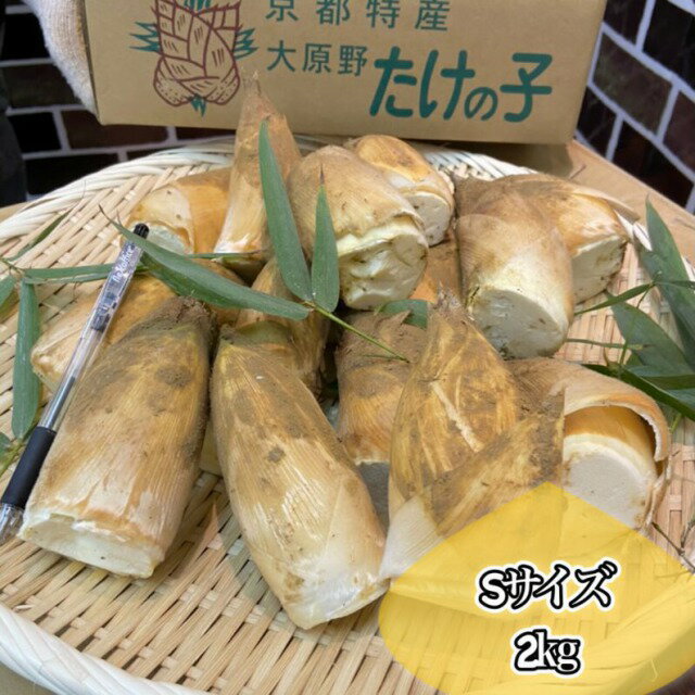 終盤へ突入**日本一！*旬の特上品*【朝堀り京たけのこ】白子筍*Sサイズ約2kg（6～9本）京都大原 ...