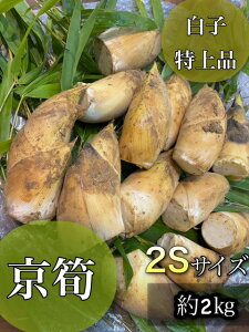 新物！今年もやってきました【旬*京の特上品*】朝堀り白子筍*2Sサイズ約2kg（14〜20本）京都大原野産か塚原産で厳選木の芽・米ぬか・鷹の爪・ゆがき方とお料理レシピ付き*新鮮*生たけのこ*タケノコ*竹の子*春ギフト*贈答*お祝い*御祝*母の日*京野菜*進物*旬食材*