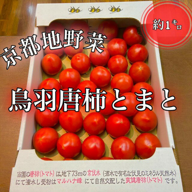 旬の超おすすめ**希少品*【本場京野菜】特選 鳥羽唐柿*京とまと*約1kg（14〜25玉）京都府伏見産*京野菜ギフトに最適*ほんまもん京野菜*京都お取り寄せ*御中元*お中元*旬の食材*健康管理*おいしいトマト*甘いトマトケース買い（約2.5kg）お求めの場合はご相談くださいのサムネイル