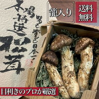 純国産の香り高さ【天然国産*秋の味覚】長野県産*特選松茸　中つぼみ～中ひらき約250g(3～4本)*籠入り* *すだち付き*焼き・鍋*